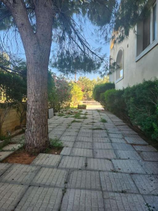 Peaceful Oasis Apartment Athens Luaran gambar