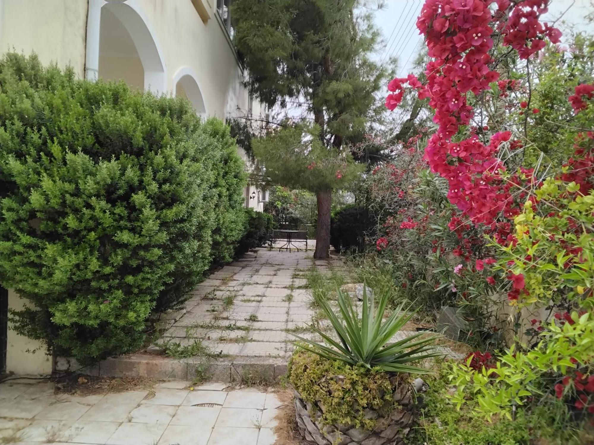 Peaceful Oasis Apartment Athens Luaran gambar
